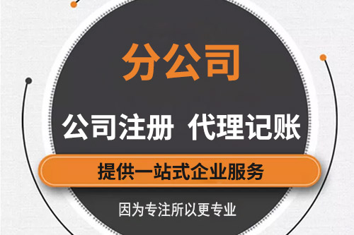 子公司的注册流程有哪些？都有什么条件？